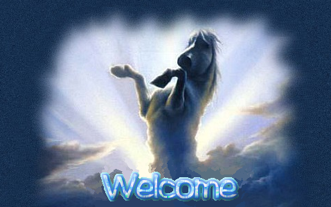 Welcome koník.png